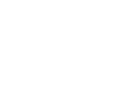 Nyamaropa Technologies client logo